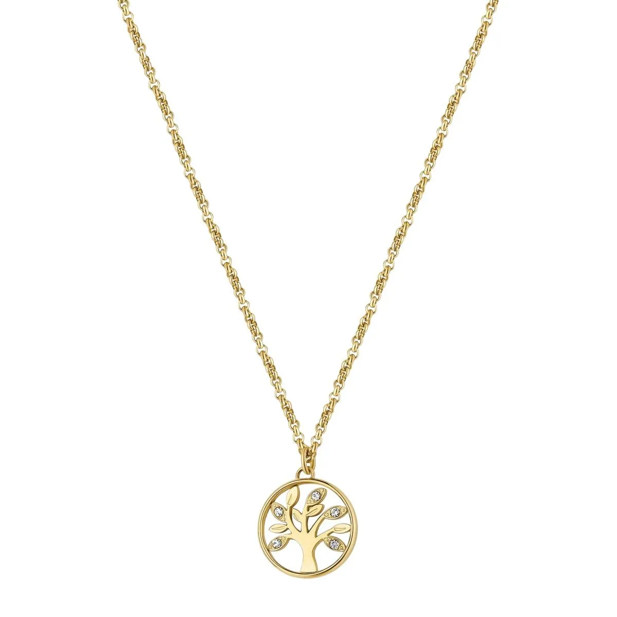 BHKN094 CHAKRA