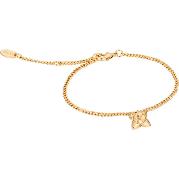 JCBR02083400 Rosa
