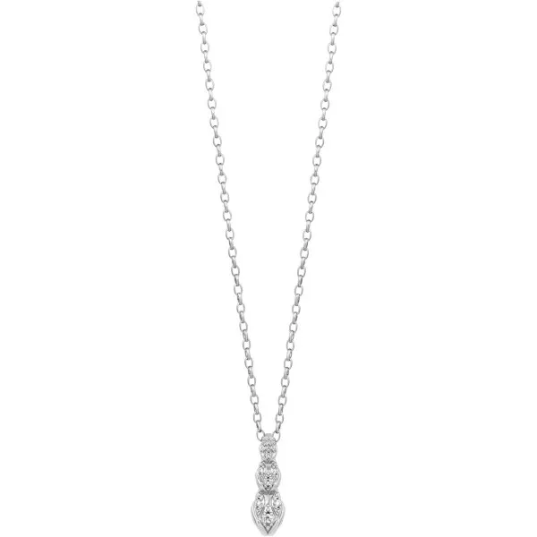 JCNL02423100 Brila