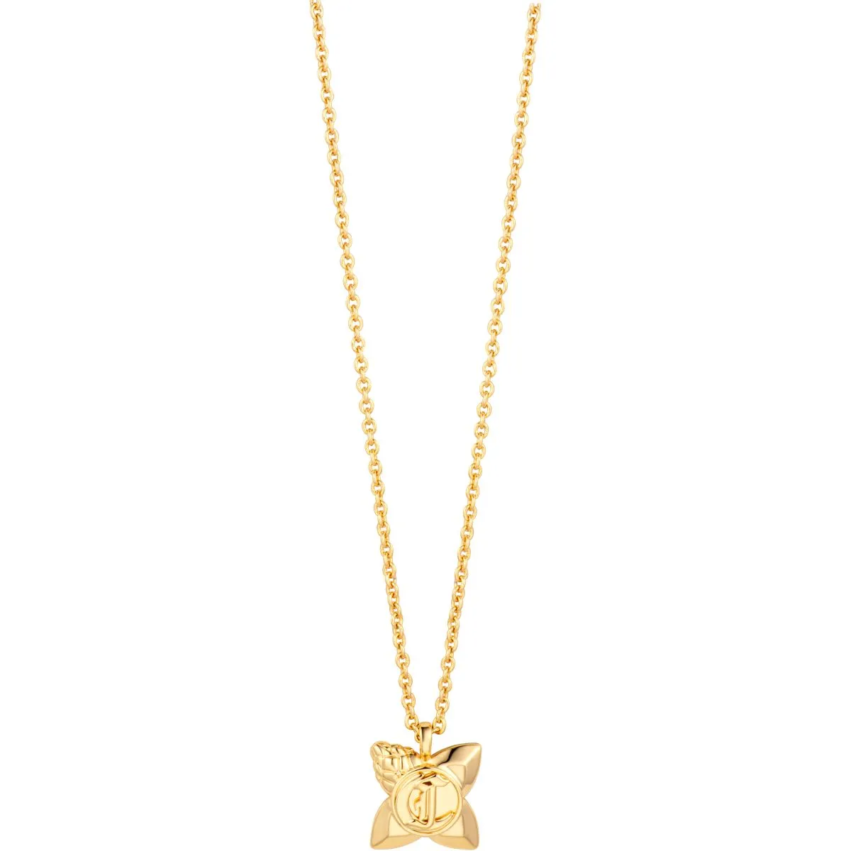 JCNL02723200 Rosa