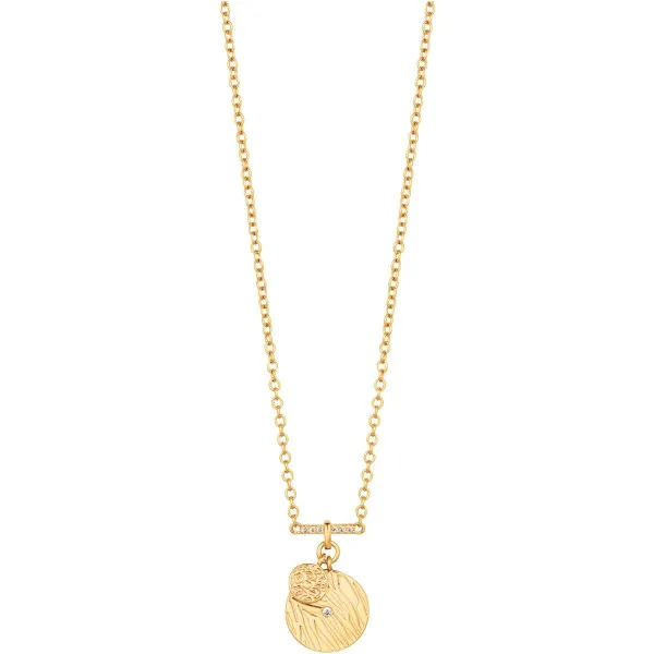 JCNL03003200 Oliva