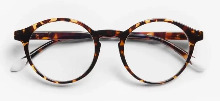 BARNER Le marais - Tortoise (Glossy)