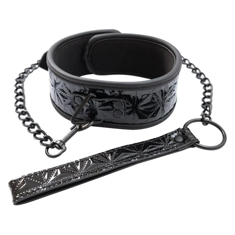 Црн чокер со метален поводник Black Collar and Leash