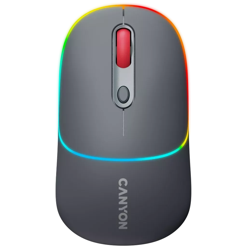CANYON CNS-CMSW22DG 2in1 BT Wireless Dark Grey