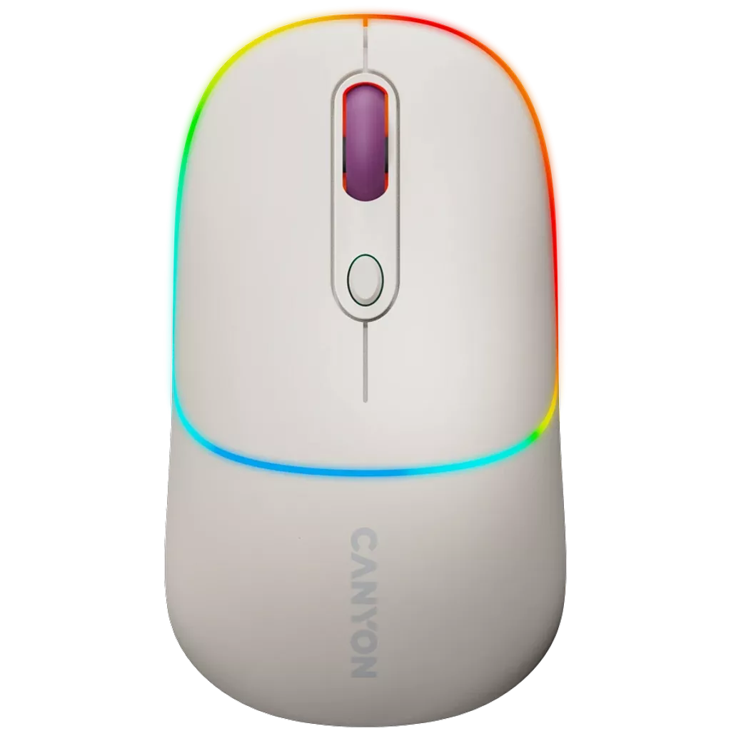 CANYON CNS-CMSW22RC 2in1 BT Wireless Rice