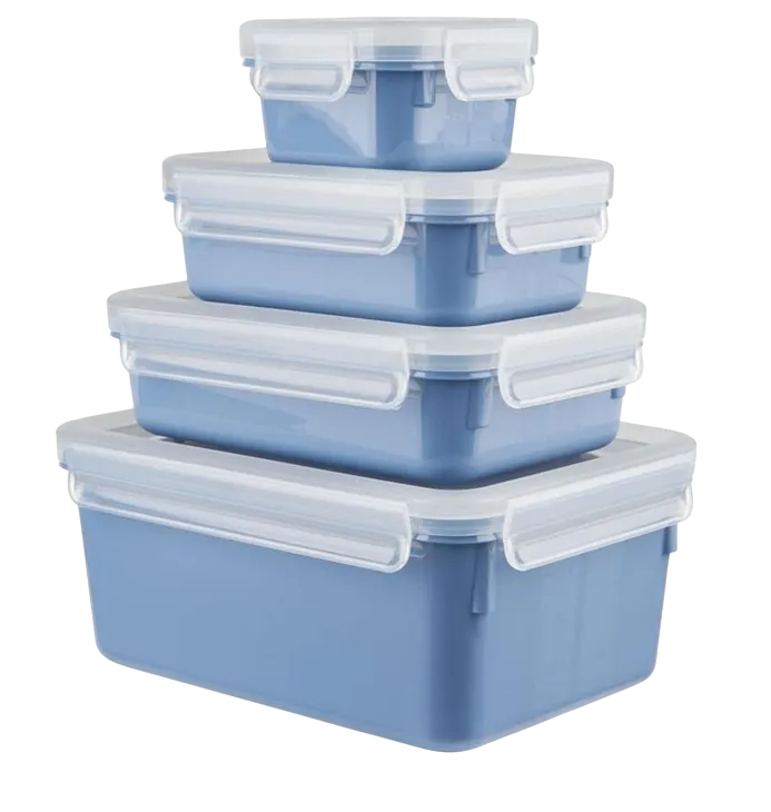 SAD ZA HRANA TEFAL N1030810 MSEAL COLOR 4pcs SET BLUE