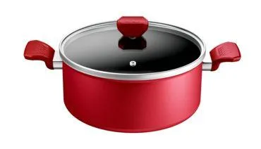 Сад за готвење со капак TEFAL C2894602 20cm DAILY EXPERT