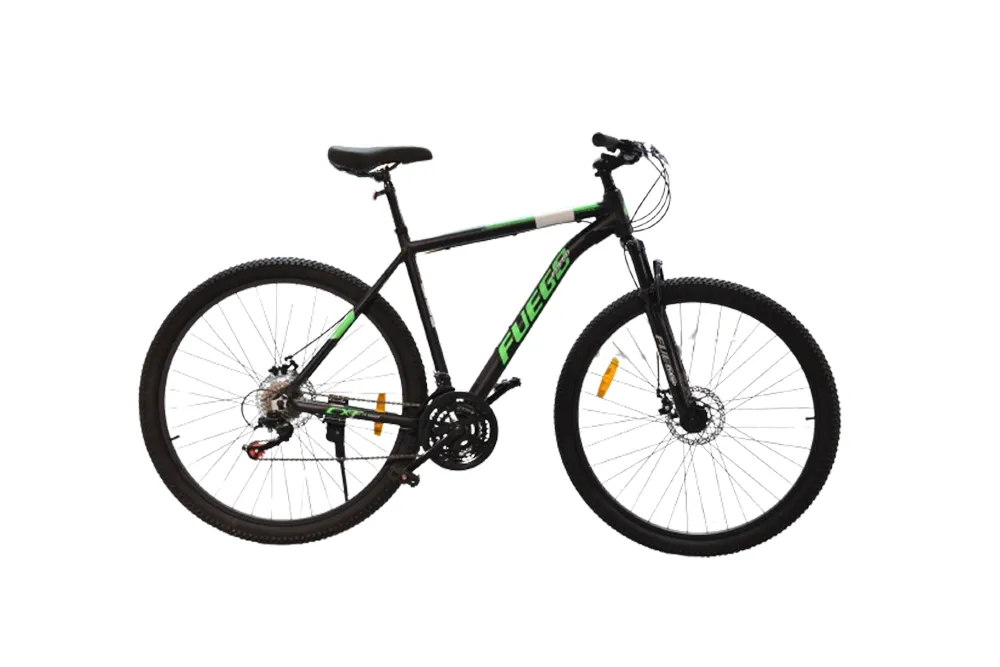 VELOSIPED FUEGO EL LEON GB21-29 BLACK/GREEN