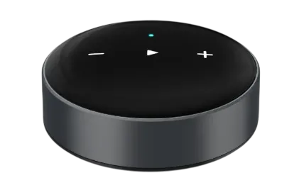 WiiM Mini