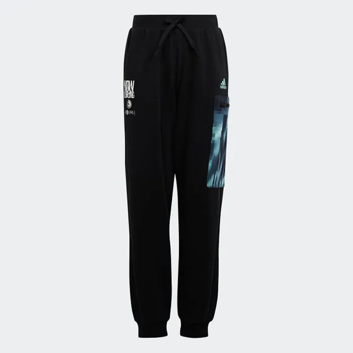 Adidas U ARKD3 PANT