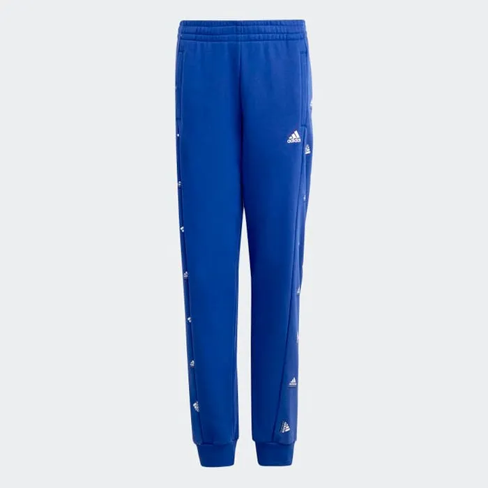 Adidas U BLUV PNT Q1