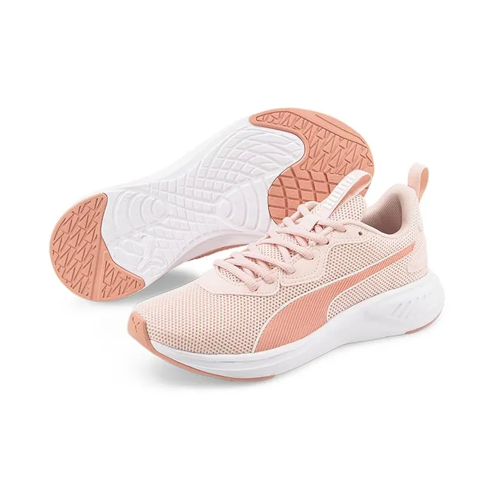 PUMA INCINERATE