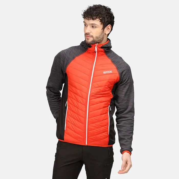 Regatta Andreson VI Hybrid CajunOr/Rhin
