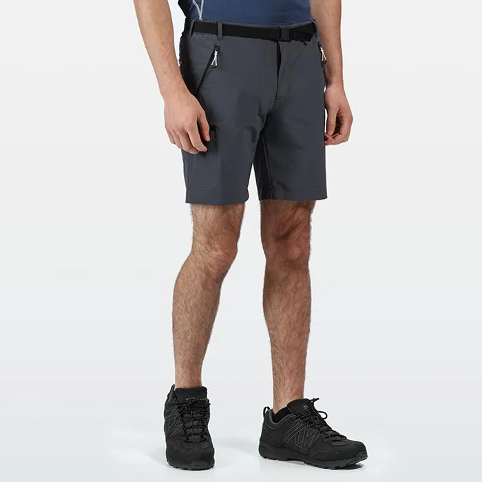 Regatta Xert StrShort III Seal Grey