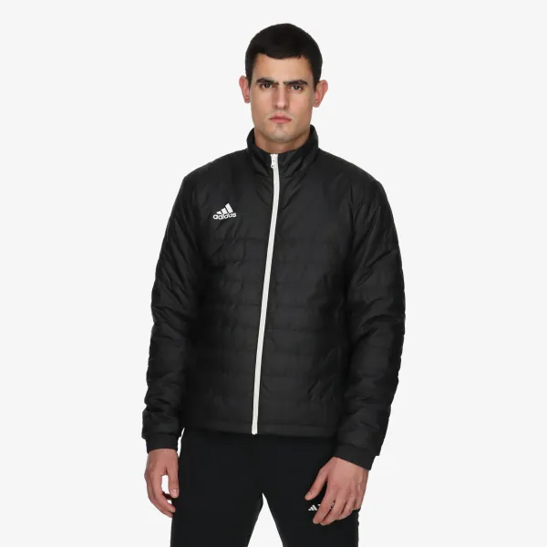 adidas Entrada 22