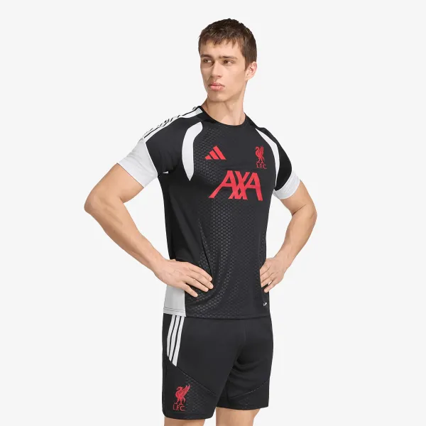 adidas LFC TR JSY