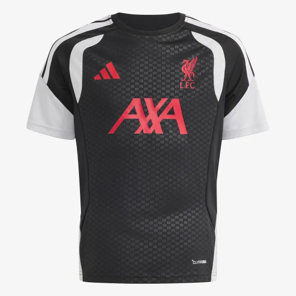 adidas LFC TR JSYY