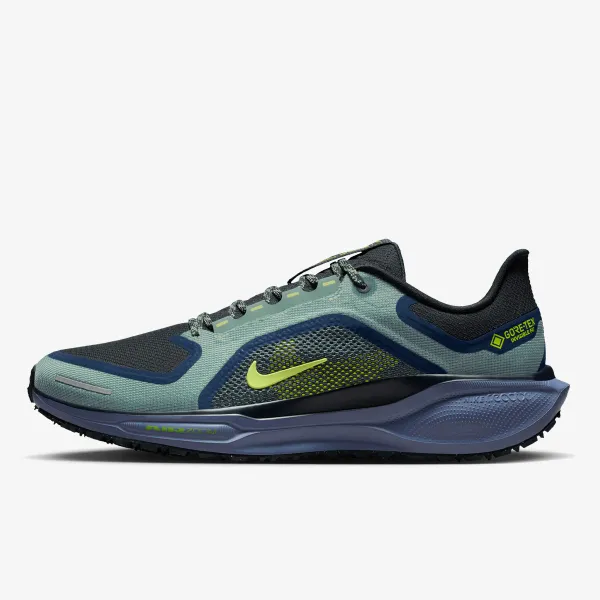 Nike Air Zoom Pegasus 41