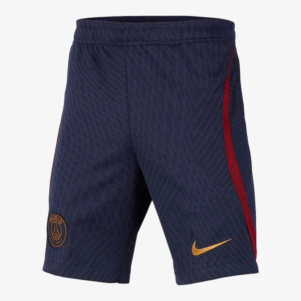 Nike Paris Saint-Germain Strike