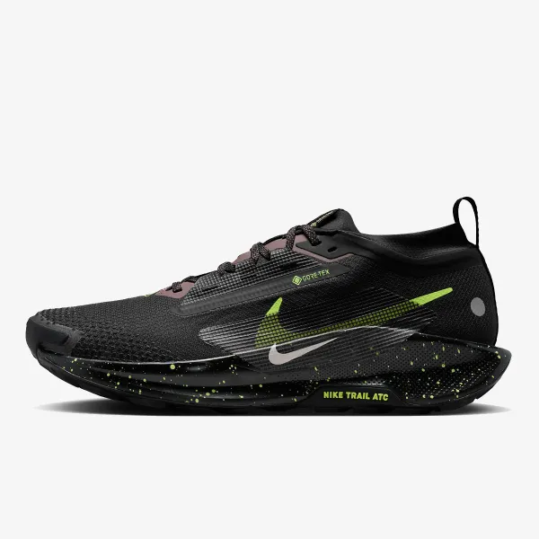Nike Pegasus Trail 5 Gore-tex