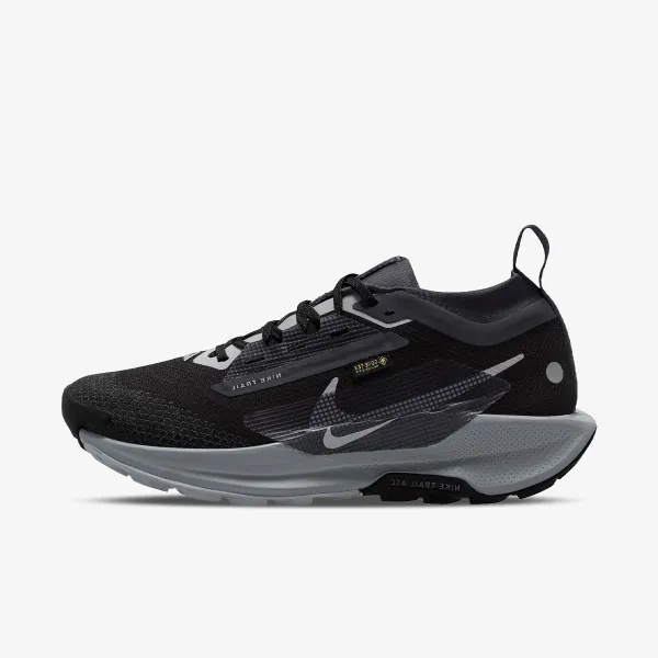 Nike Pegasus Trail 5 Gtx