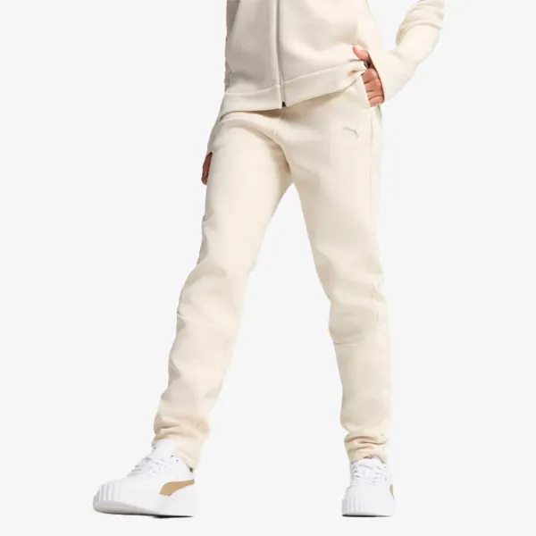Puma Evostripe