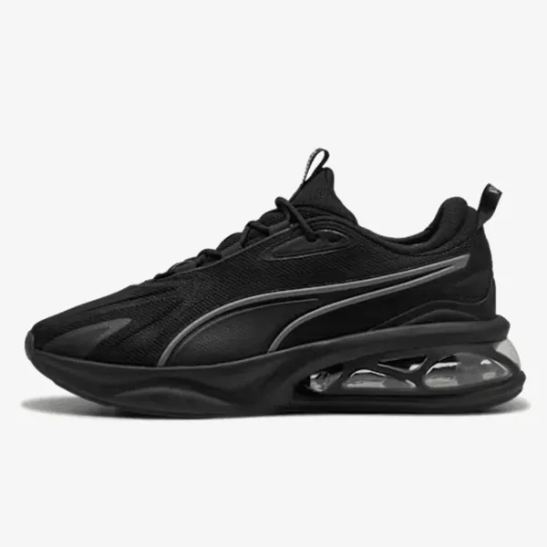 Puma Solar
